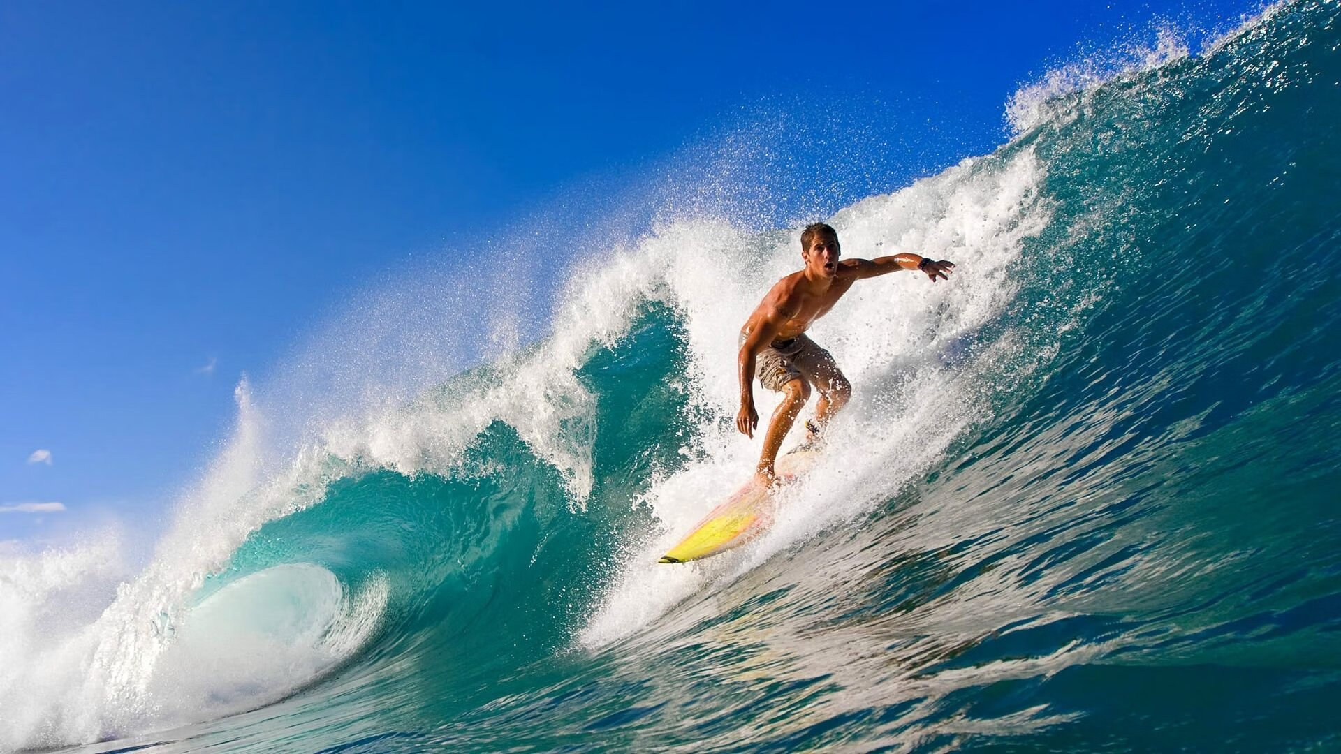 锡安破茧成蝶，热火铁血防线前，新王当立